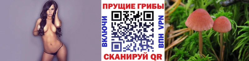 Галлюциногенные грибы Cubensis  shop клад  Гулькевичи 